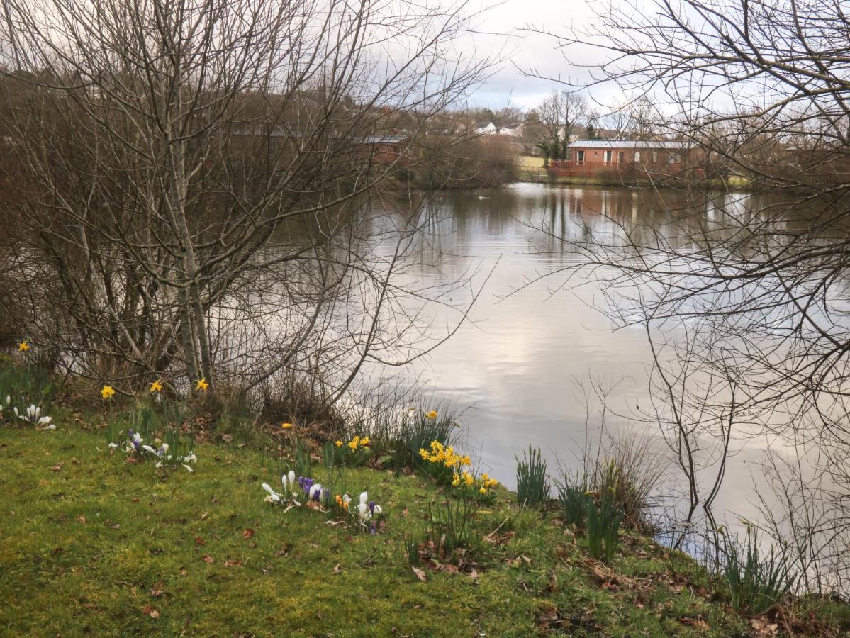 Braeburn Lodge Winkleigh Exterior foto